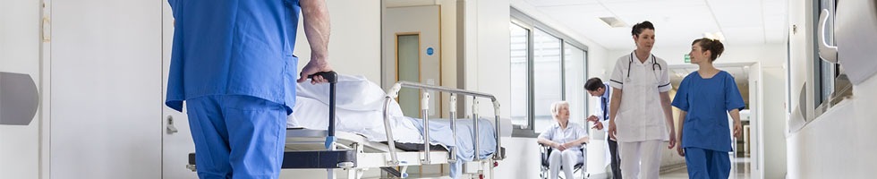 How much does Malone Healthcare Solutions pay?