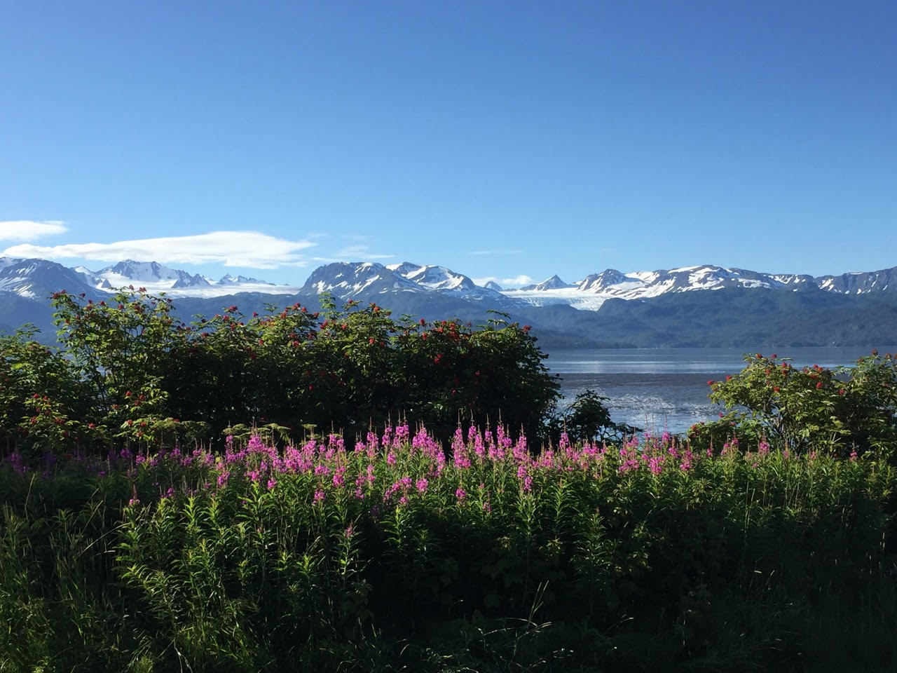 Charitybuzz 3Night Stay for 11 at Seaside Farm, Kilcher Homestead