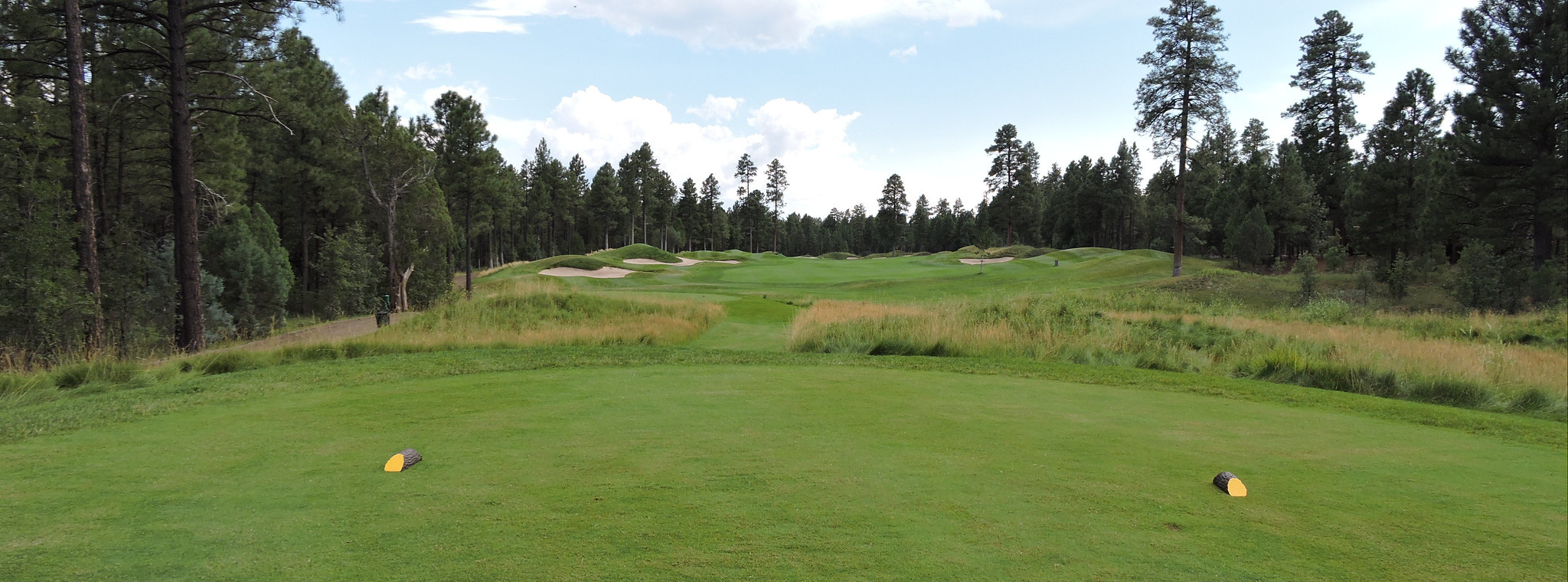 Charitybuzz Golf Foursome with Carts at the Private Torreon Golf Club