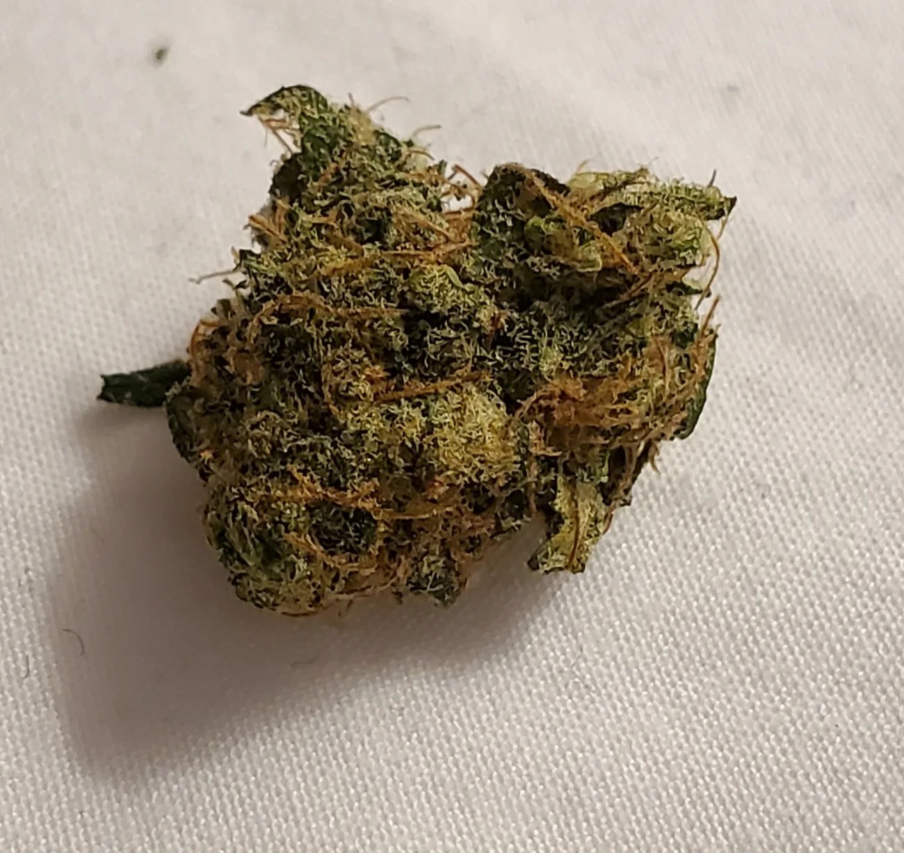 Zen Leaf Dispensary Opens the 16th in NJ in Neptune