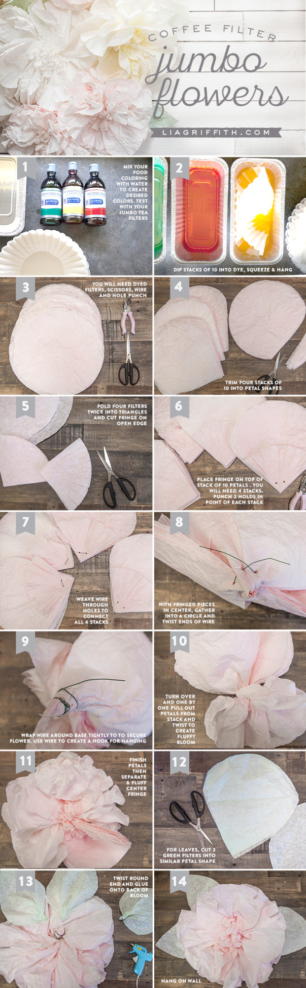 Coffee Filter Flower Backdrop Lia Griffith