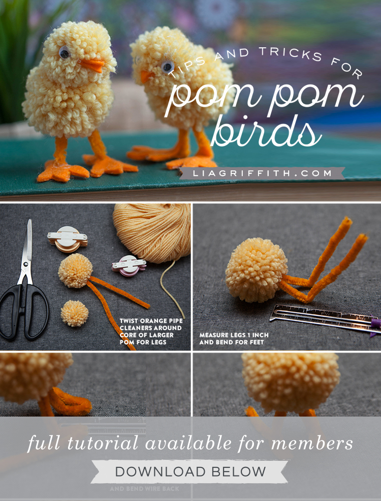 Yarn Pom Pom Animals Kids Craft - Lia Griffith