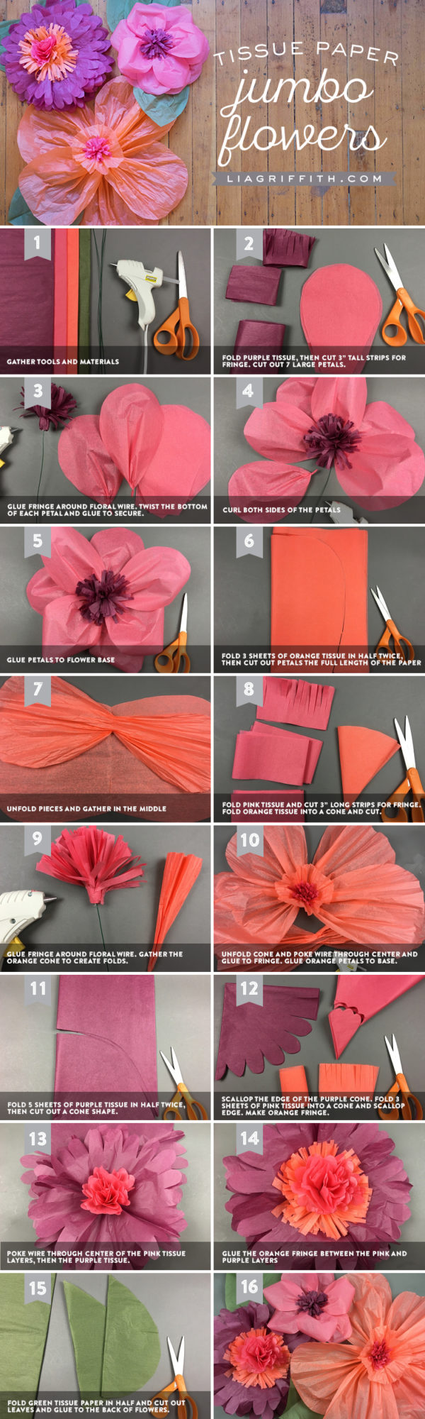 Jumbo Tissue Paper Flowers Lia Griffith