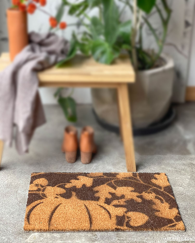 DIY Video Tutorial Fall Themed Doormat Lia Griffith