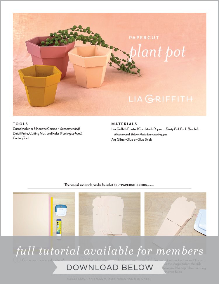 Paper Plant Pots DIY Template & Tutorial Lia Griffith