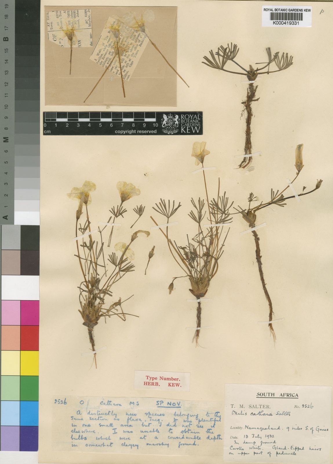 Annotated Native Plant Bibliography edenspace.com