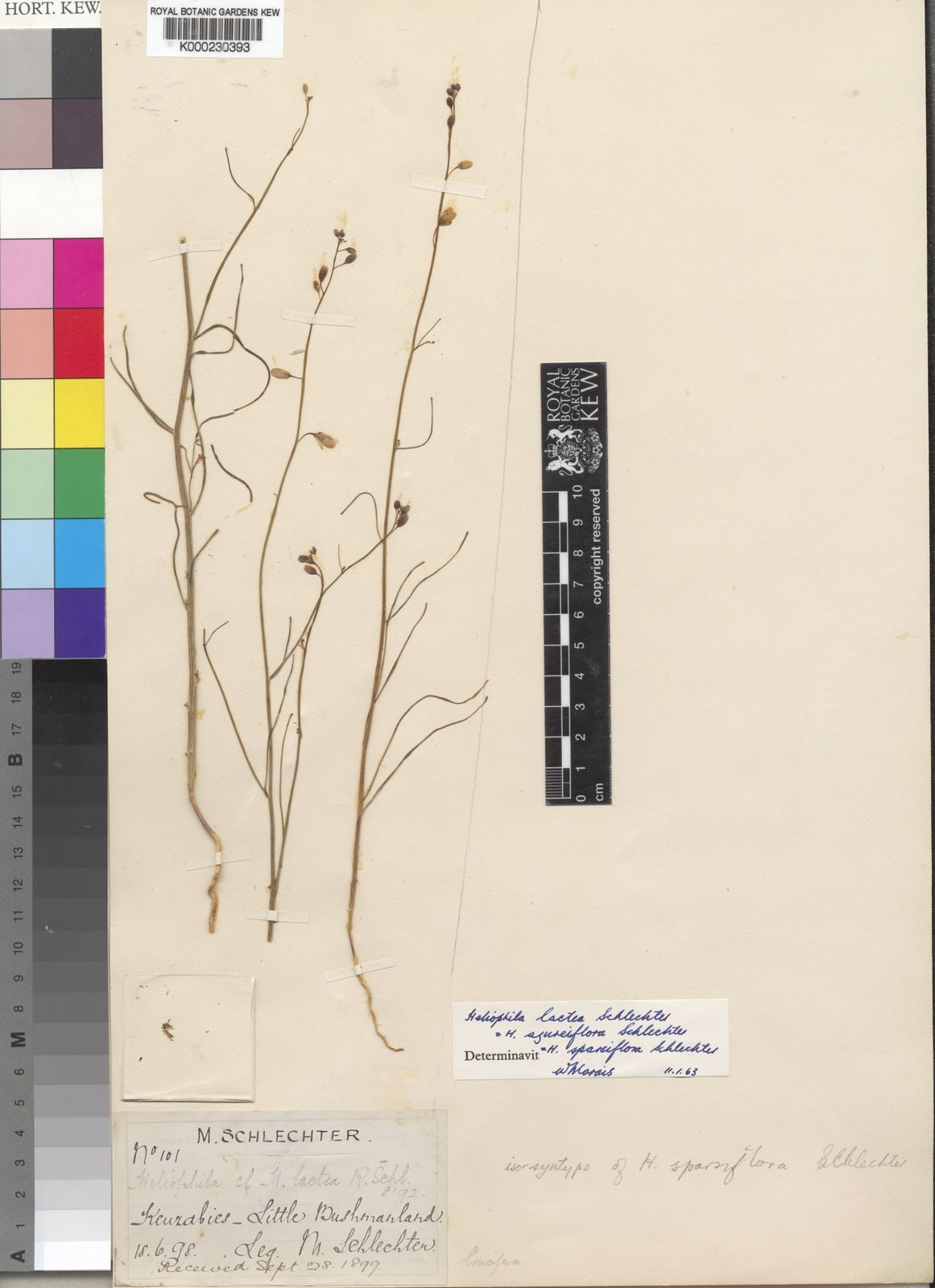Annotated bibliography of scientific research on Ventenata dubia.