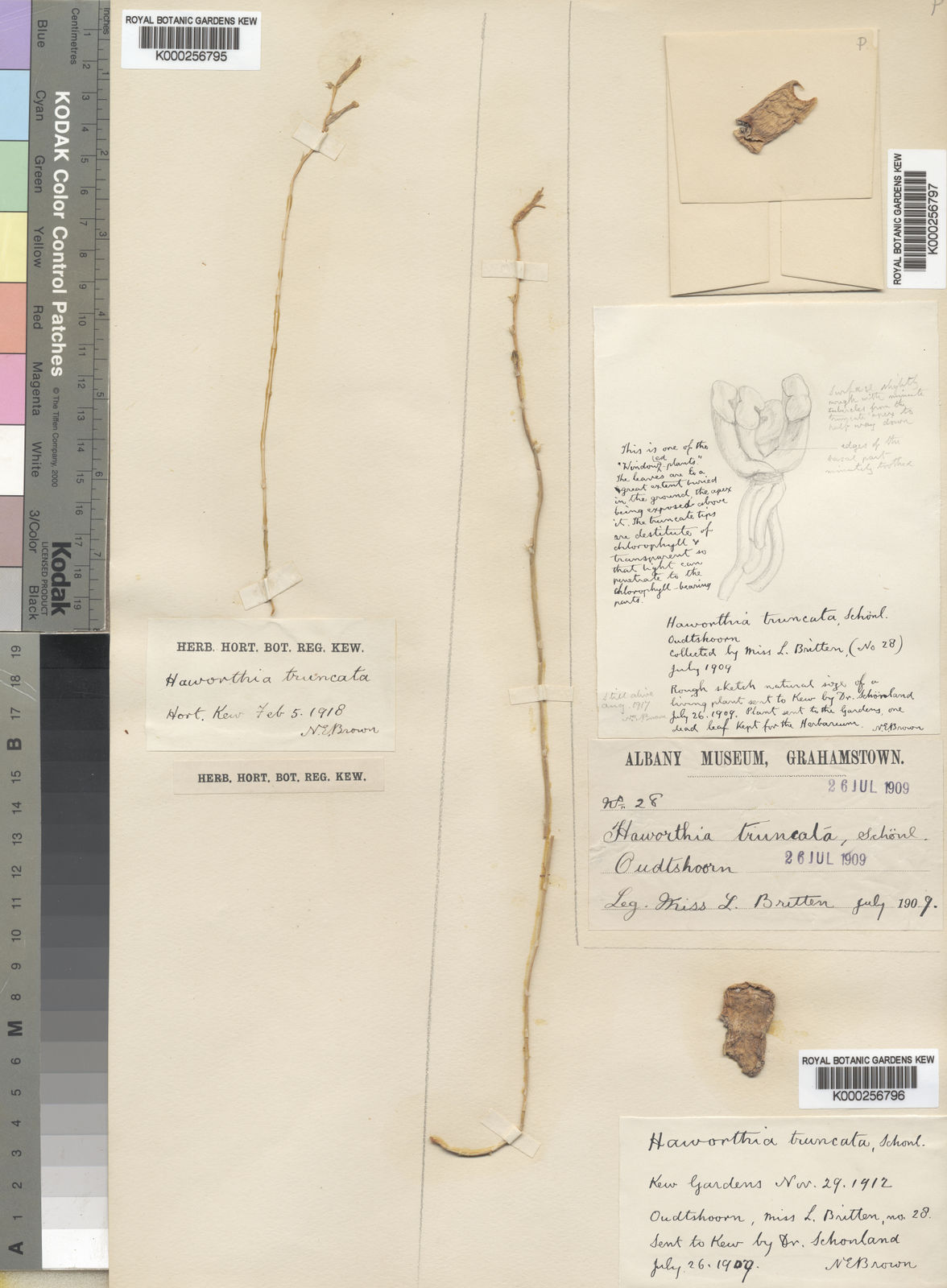Annotated Bibliography REPLANTING NATIVE PLANTS
