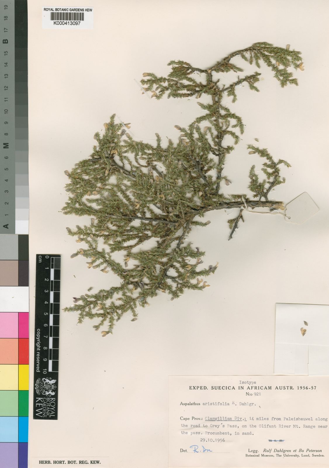 Native Plant Bibliography Mostly Natives.