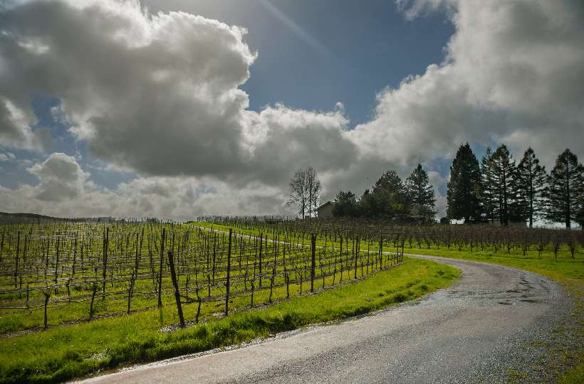 Sebastopol Rental Market Updates Best Property Management Company San