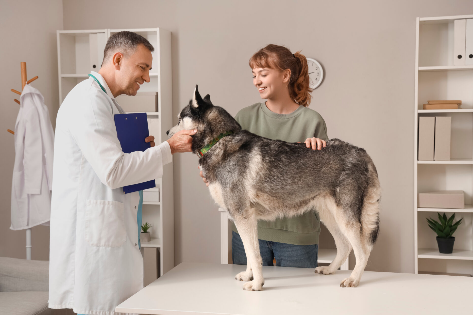 How Much Does Dog Lipoma Removal Cost?