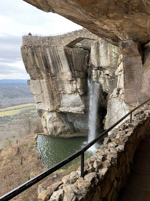 Are Dogs Allowed In Rock City Tn