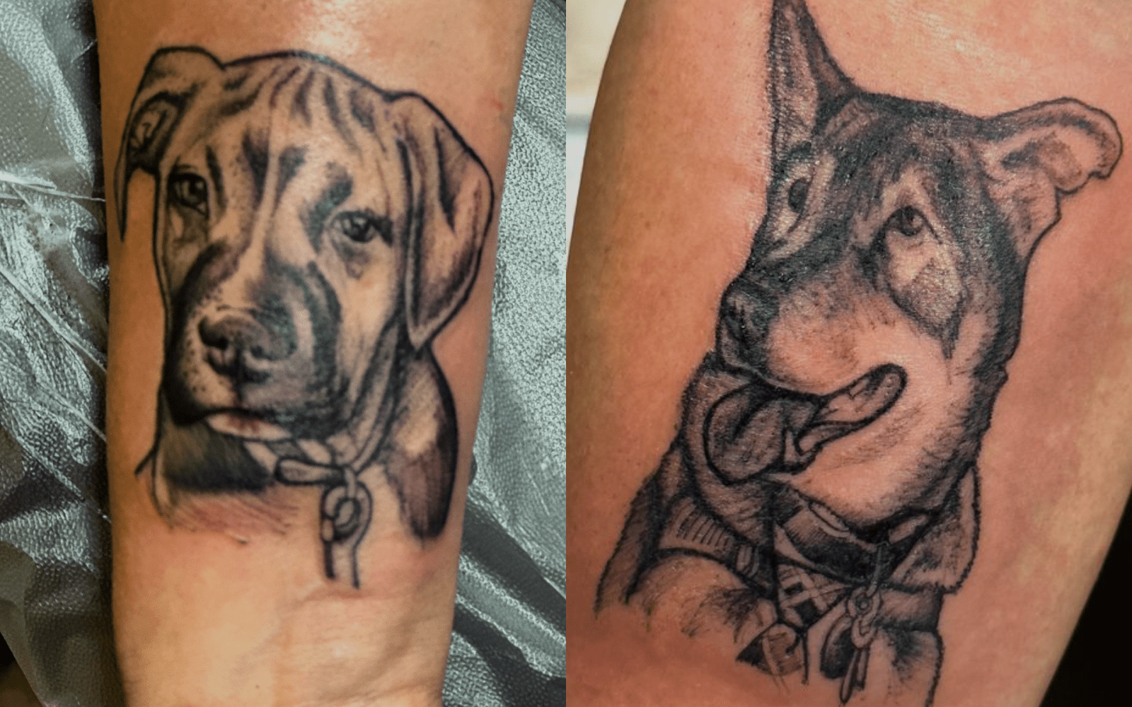 Serpentine Ink Tattoo & Piercing LLC is a Tattoo Shop in Raleigh, NC 27604