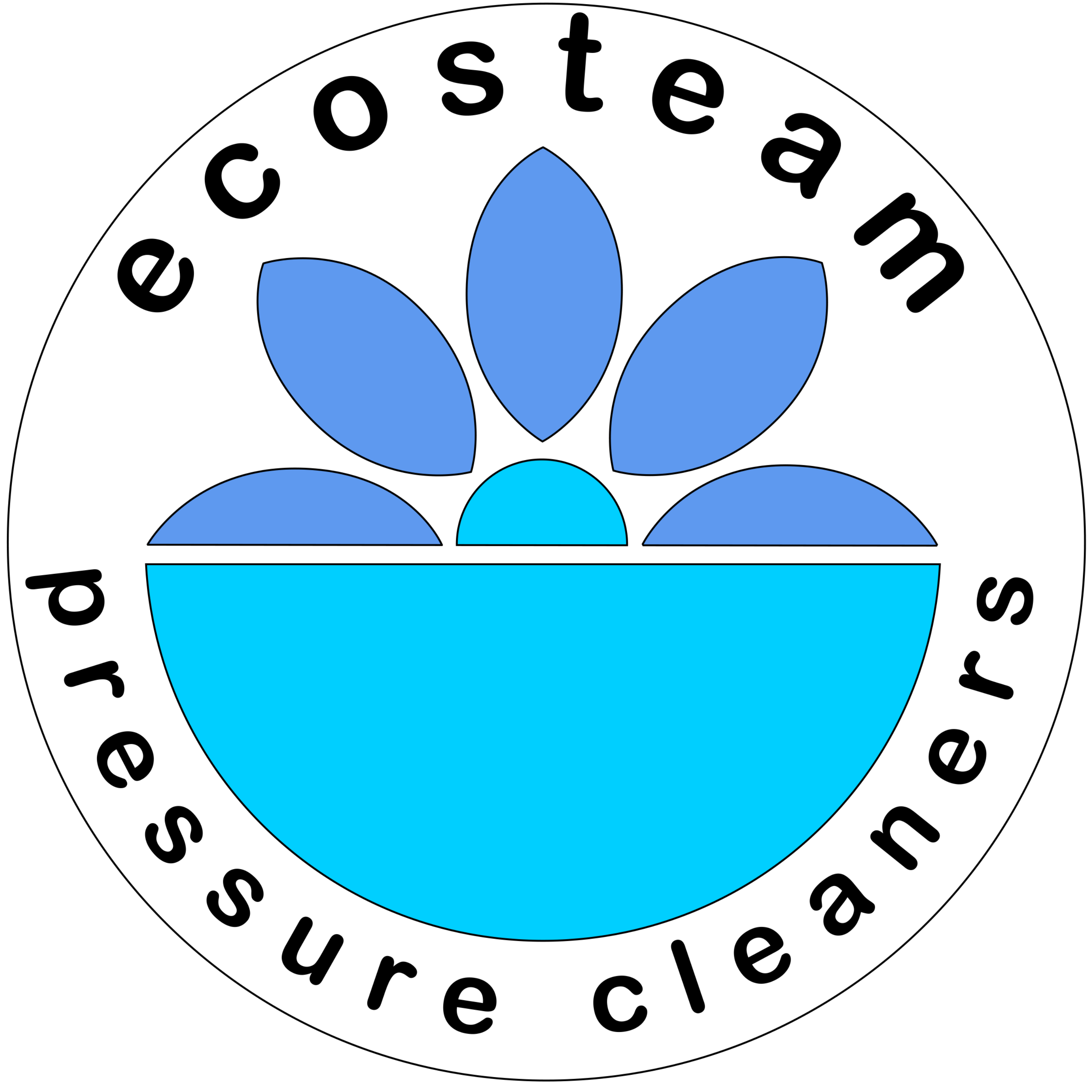 Eco Steam Pressure Cleaners Offers Pressure Washing Services in