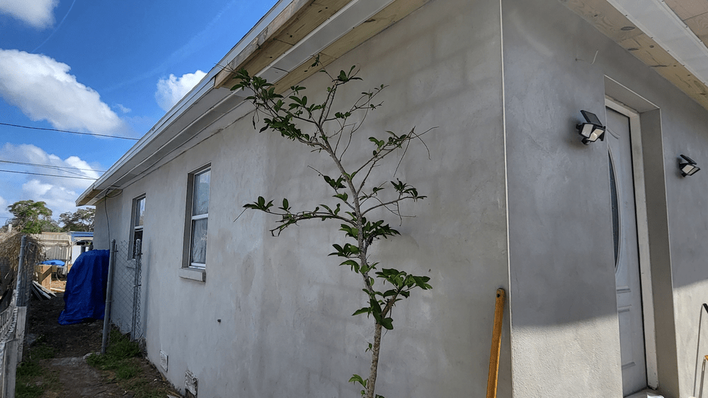 B & M Painting, LLC Offers Interior Painting in Tampa, FL 33615