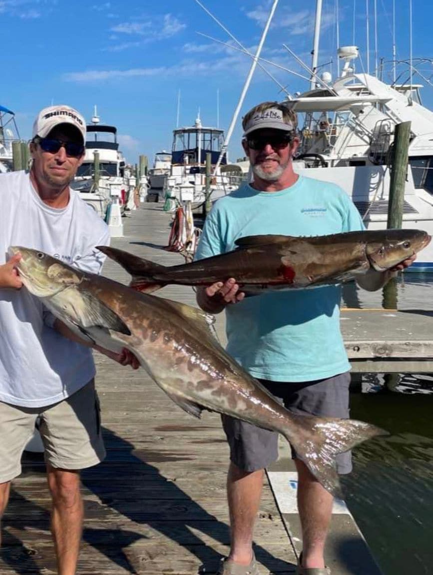 Shearwater Charters Offers Charter Boat Fishing in Ocean Springs, MS 39564