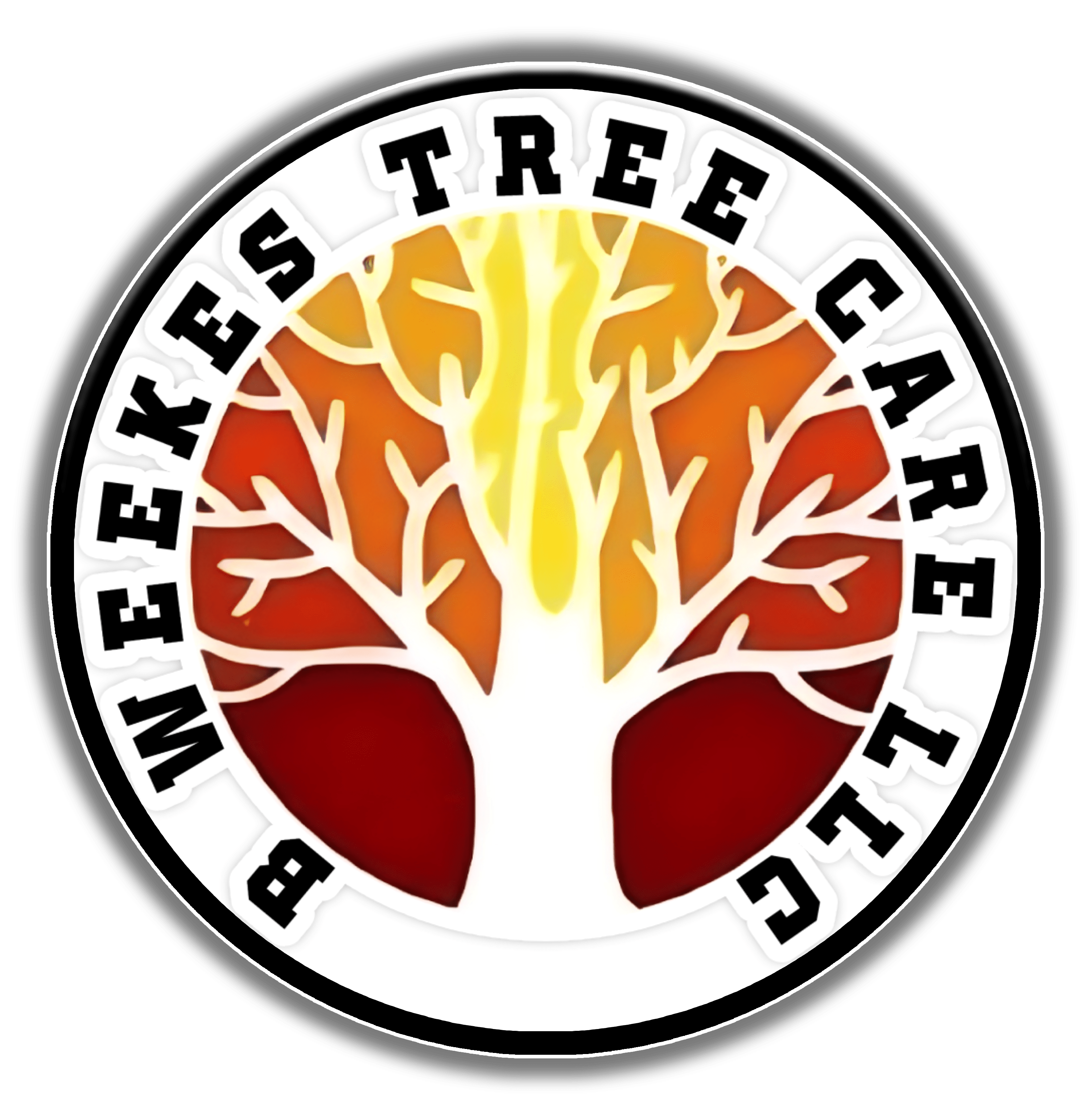 B Weekes Tree Care Offers Tree Care Services in Sparrow Bush, NY 12780