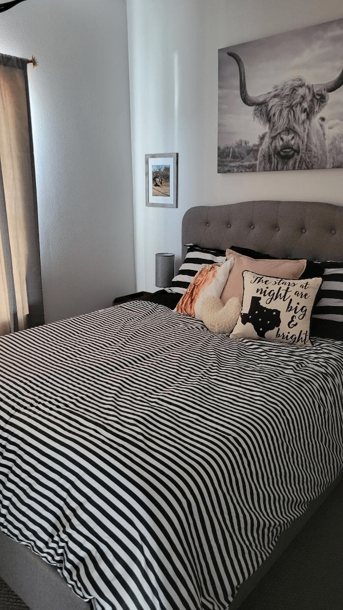 Alma's Cleaning Services Offers Move Out Cleaning in Escondido, CA 92027