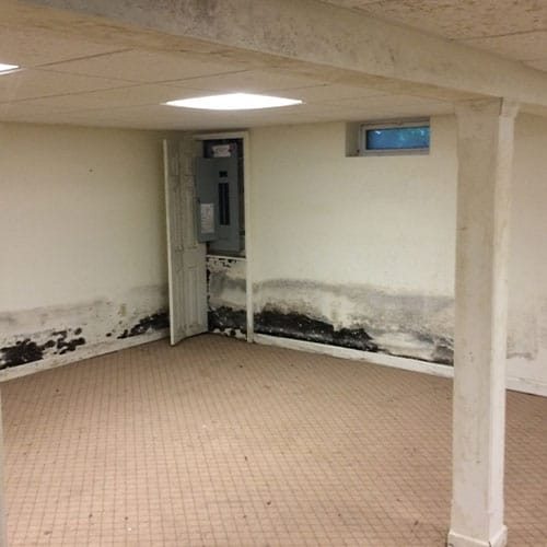 Charter Oak Environmental, LLC is an Environmental Consultant in