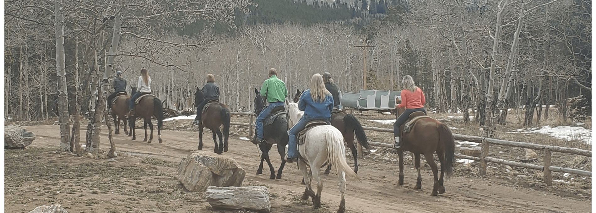 Elkhorn Stables Offers Horseback Riding in Estes Park, CO 80517