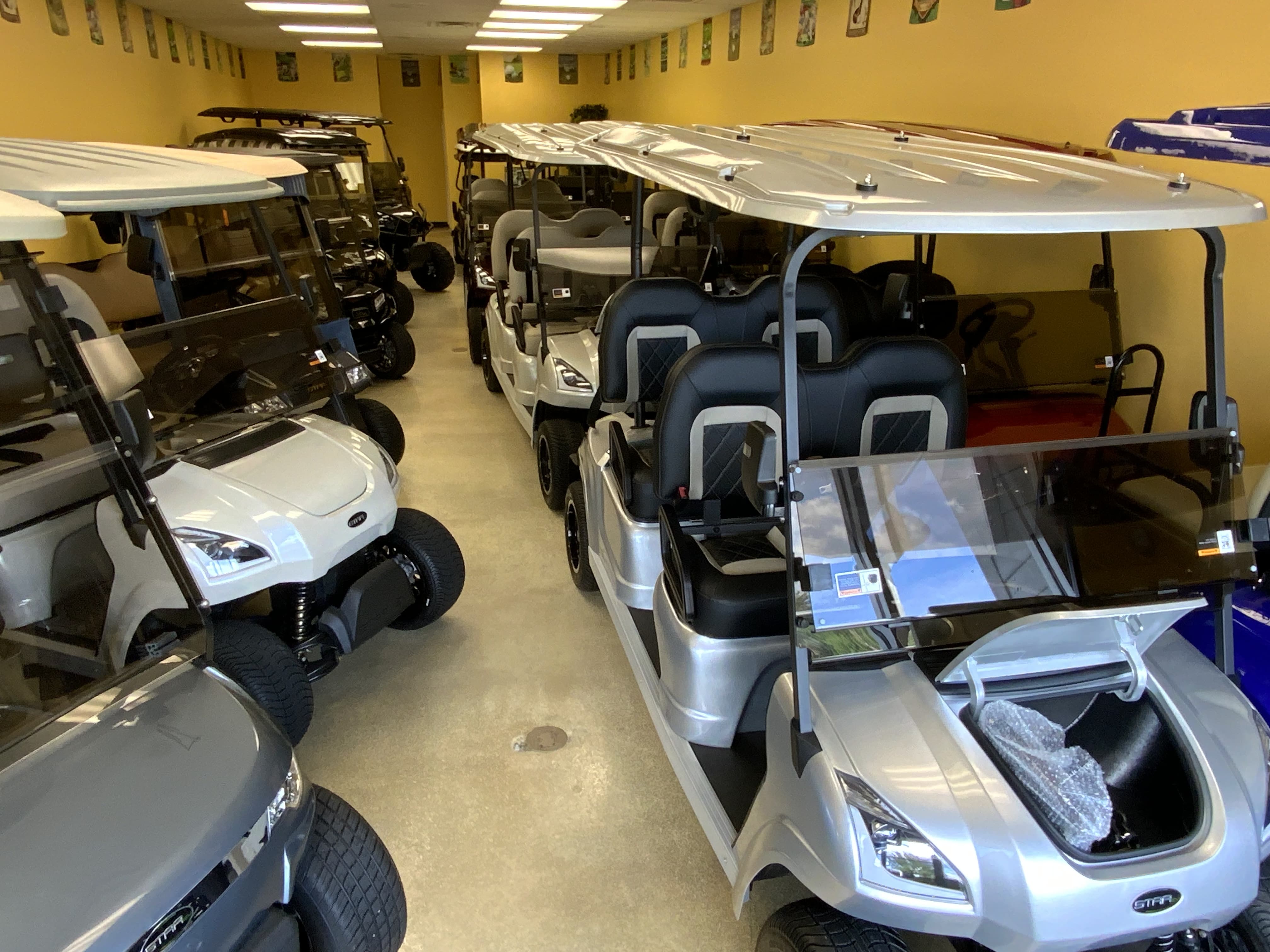 Sunshine State Golf Carts is a Golf Cart Dealer in Ocala, FL 34481