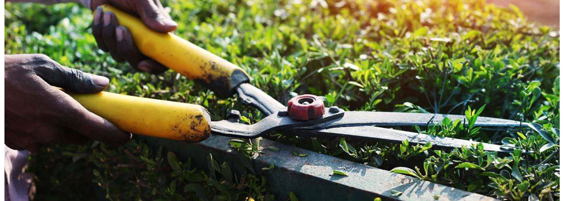 Winter Green Landscape Management Offers Landscaping Services in Collingwood, ON L9Y 0H8