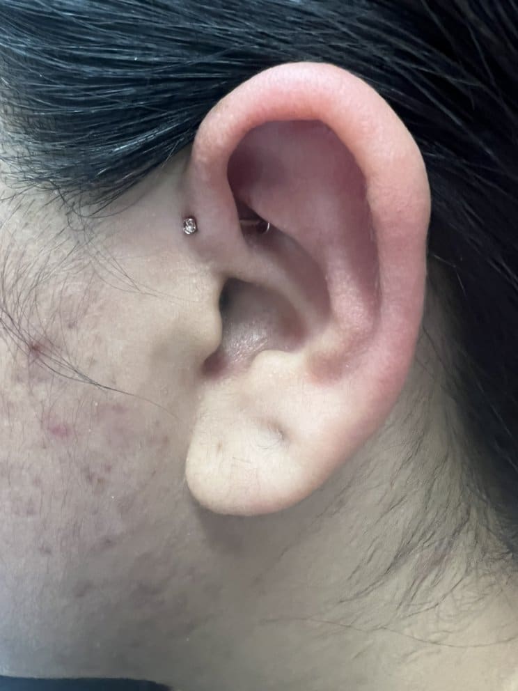 Sugandi Piercings & Tattoo Supplies Offers Gold Body Jewelry in North