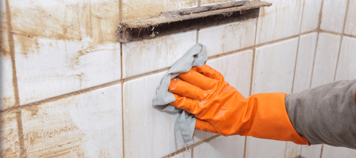 Cristina House Cleaning Performs Move In Cleaning in Perry Hall, MD