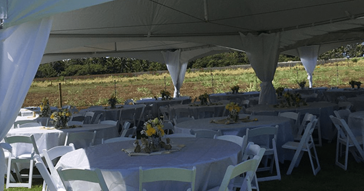 Gallery Island Paradise Party Rentals LLC