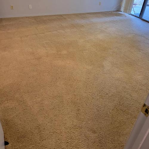 Trusted Care Carpet & Upholstery Cleaning Offers Carpet Cleaning in San