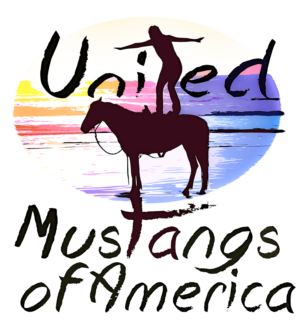 United Mustangs of America is a Horseback Riding School in Arroyo