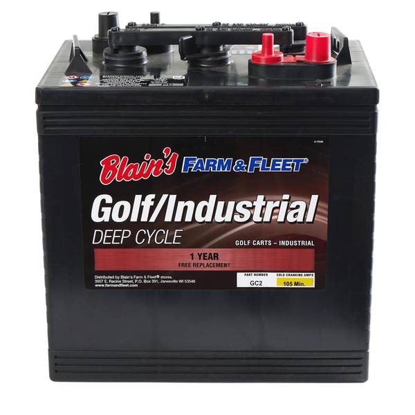 Blain's Farm & Fleet Golf Cart Battery