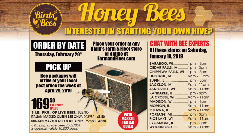 Blain's Farm & Fleet of Oak Creek, Wisconsin