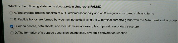 Solved Which Of The Following Statements About Protein | Chegg.com