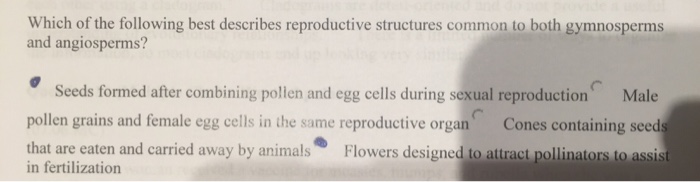 Solved Which Of The Following Best Describes Reproductive | Chegg.com