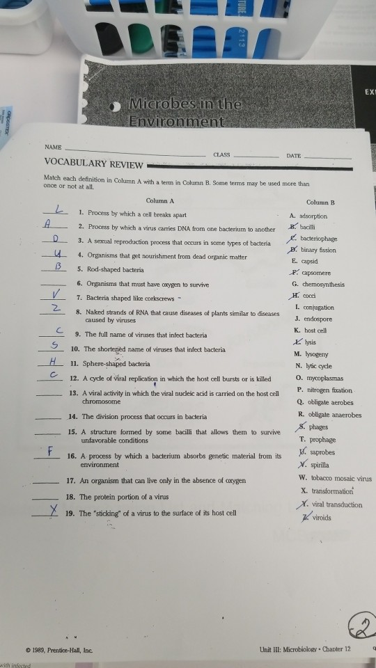 Solved EX NAME VOCABULARY REVIEW Match each definition in