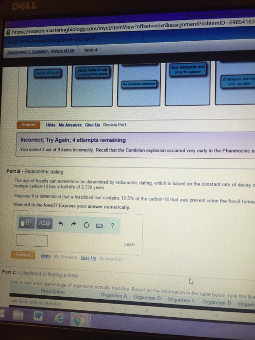 Solved The age of fossils can sometimes be determined by