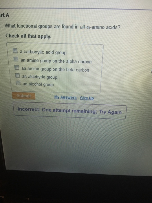 Solved What Functional Group Are Found In All Alphaamino...