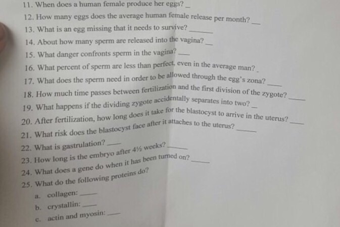 Solved When Does A Human Female Produce Her Eggs? How Man...