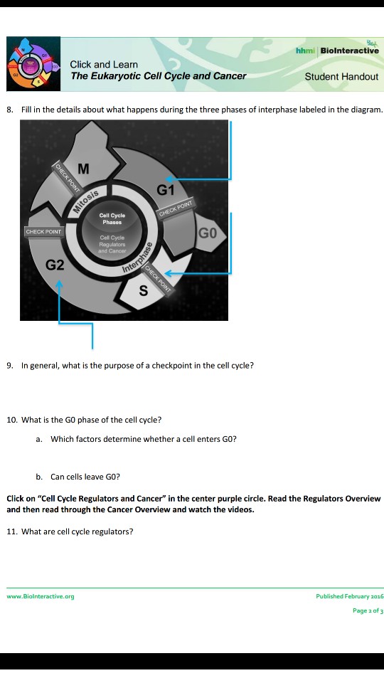 Solved hhmi Biolnteractiv Click and Learn The Eukaryotic | Chegg.com