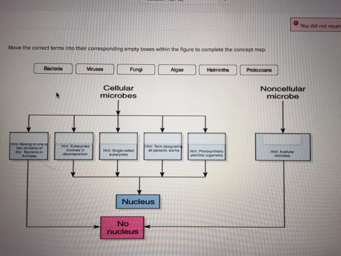 Complete This Concept Map To Help You Review The Mechanisms By Which Bacteria Regulate Biology Archive January 19, 2017