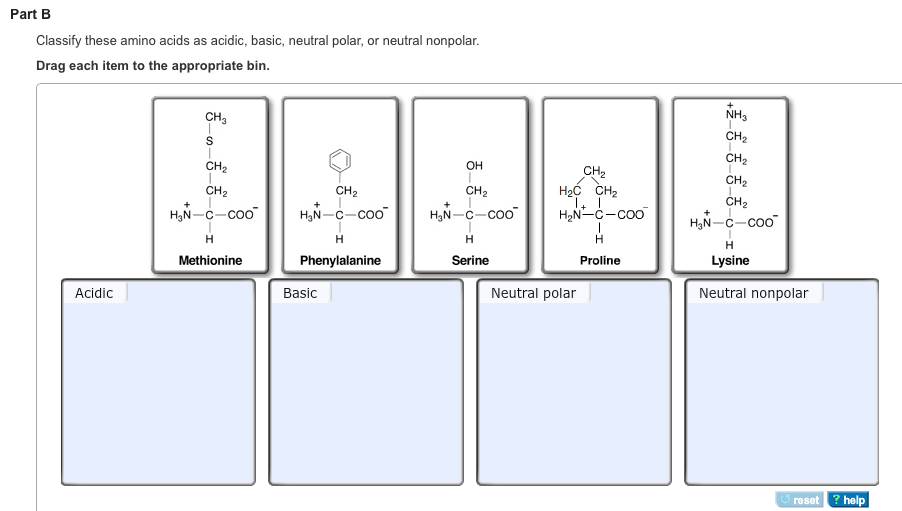 Solved PART A Classify These Amino Acids As Acidic, Basic...