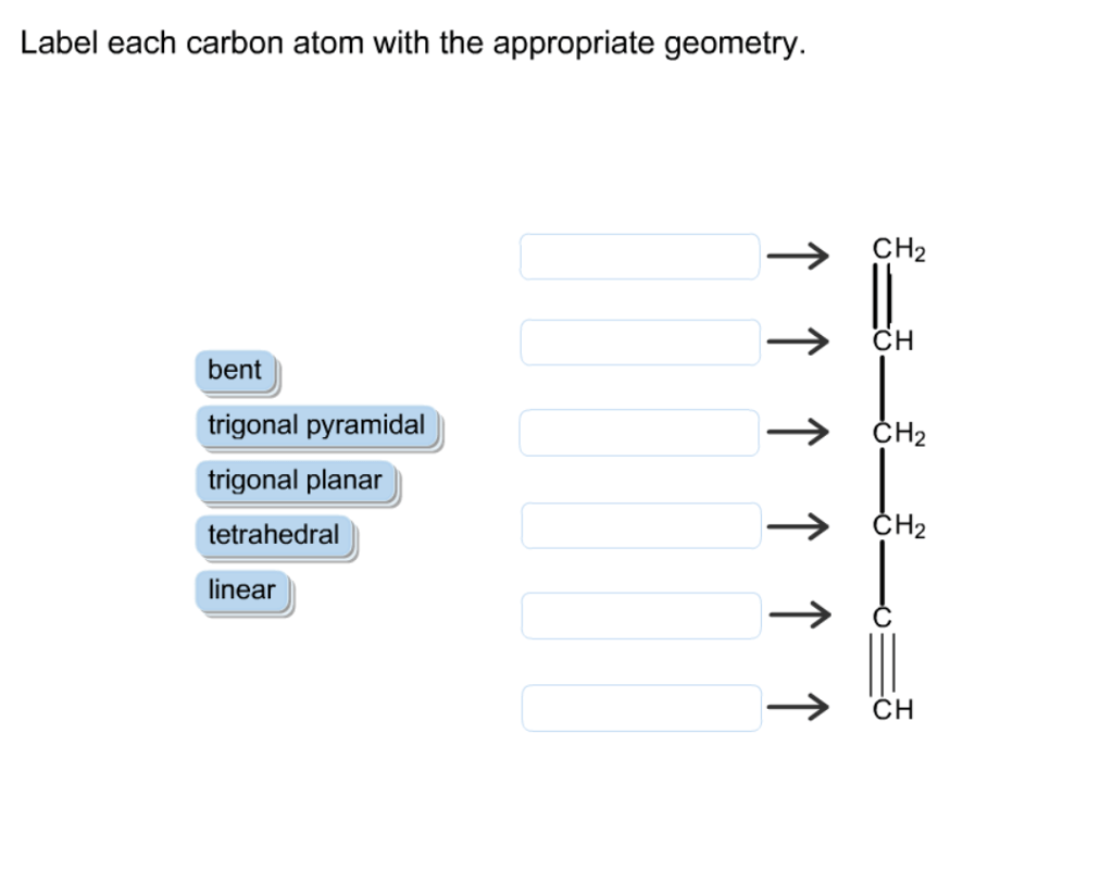 Solved Label each carbon atom with the appropriate geometry.