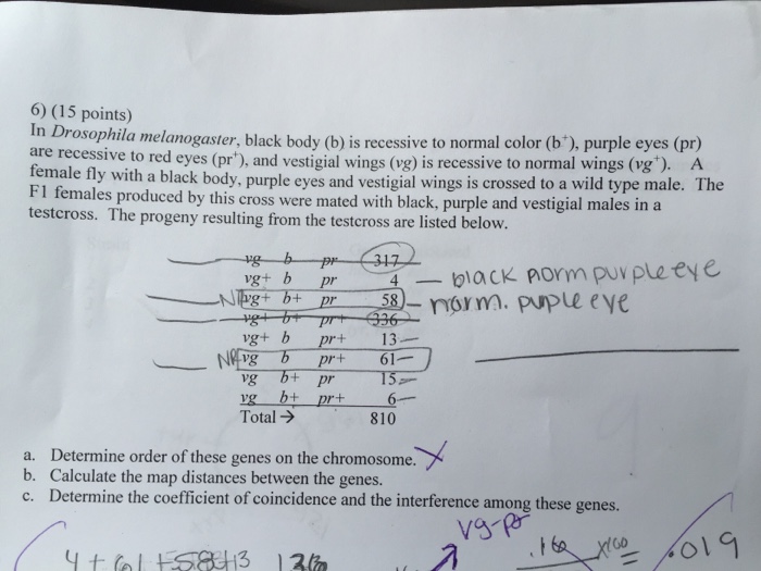 Solved Determine The Order Of These Genes Calculate The M...