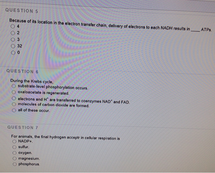 Solved Aerobic Respiration After Meals Which Of The Follo&hellip;