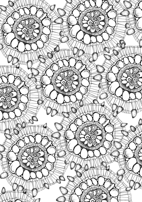 Gallery Adult Colouring, Creative Colouring Course