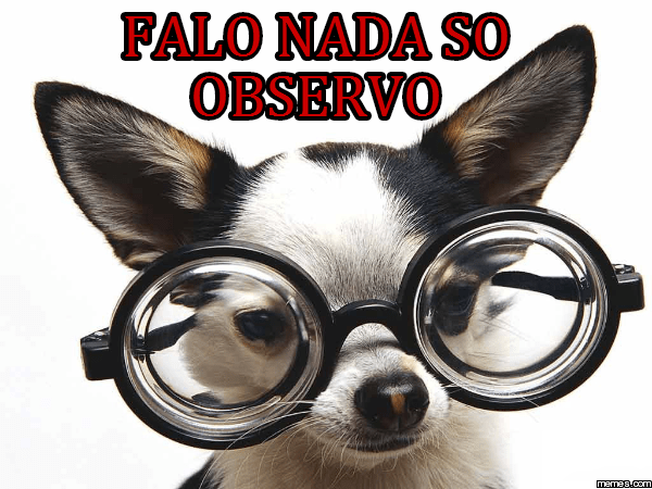 falo nada so observo