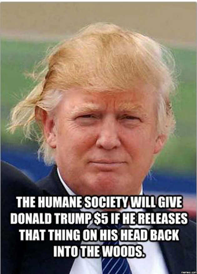Donald Trump's hair