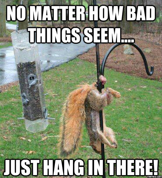 Just hang in there