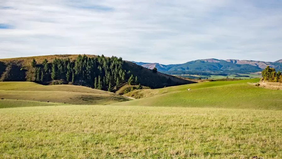 NZ Rural Land Co Forecast returns from a dairy farm part 3